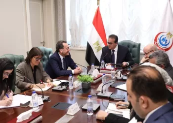 Egypt keen to expand medical care for Palestinian people with cancer