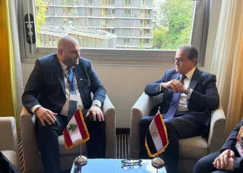 Egypt, Lebanon seek to boost healthcare co-operation