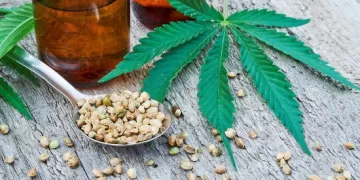 How CBD Became a Daily Routine Product Instead of a Trend 1 - Egyptian Gazette How CBD Became a Daily Routine Product Instead of a Trend