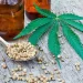 How CBD Became a Daily Routine Product Instead of a Trend