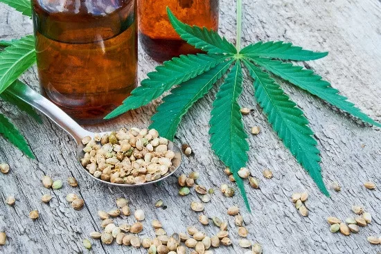 How CBD Became a Daily Routine Product Instead of a Trend 11 - Egyptian Gazette How CBD Became a Daily Routine Product Instead of a Trend