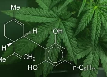 How Product Quality Impacts Your Entire Cannabis Experience