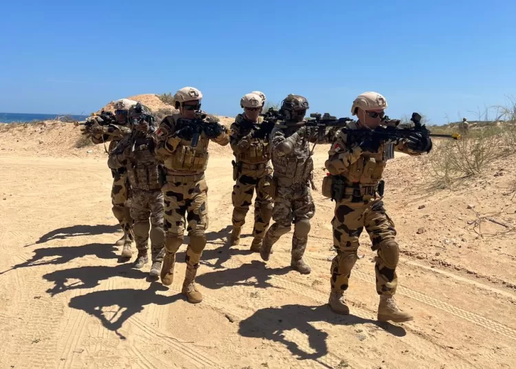 Egypt's Special Forces participate in multinational drill 11 - Egyptian Gazette