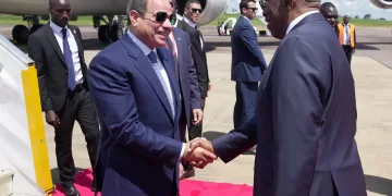 Sisi wraps up Africa tour, returns home safely