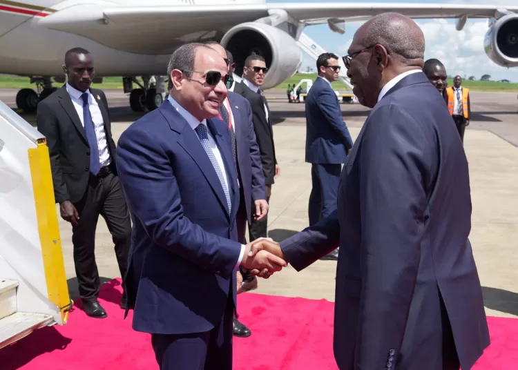 Sisi wraps up Africa tour, returns home safely 10 - Egyptian Gazette