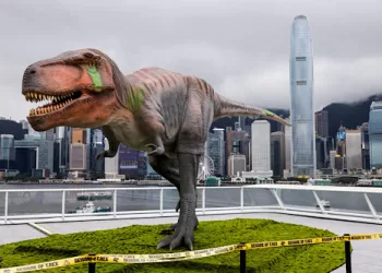 Why Tyrannosaurus had massive head, tiny arms