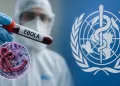 WHO confirms first Ebola recovery in DRC