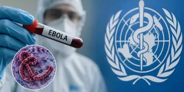 WHO confirms first Ebola recovery in DRC