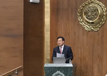 China, Arab partners discuss peace, co-operation in Cairo