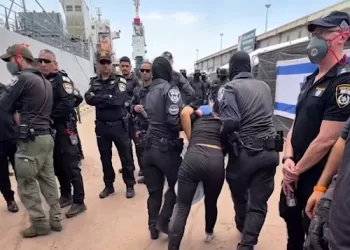 Turkiye sends flights to Israel to get flotilla activists