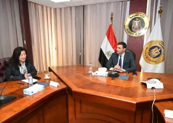 Egypt, UNDP boost green industry, renewable energy co-operation