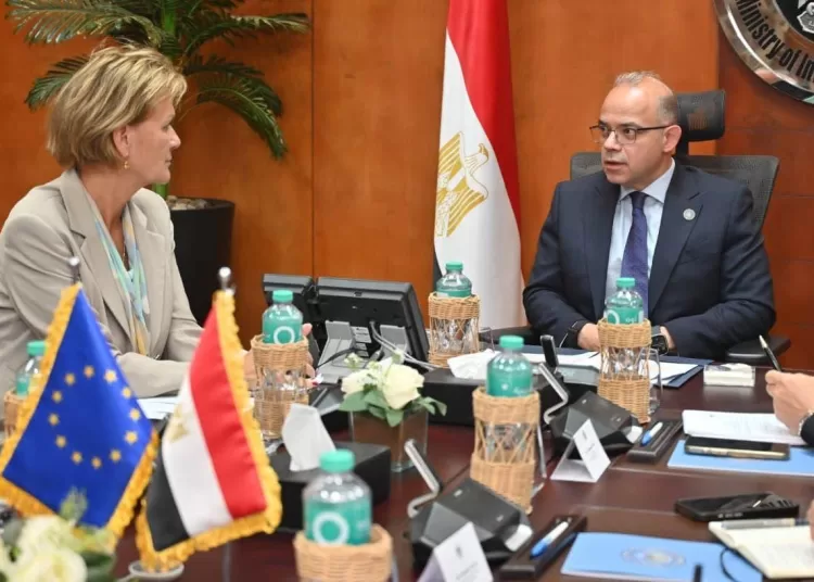 Discussing economic partnerships with EU 12 - Egyptian Gazette Discussing economic partnerships with EU 11 - Egyptian Gazette