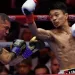 Nakatani vows no fear vs Inoue
