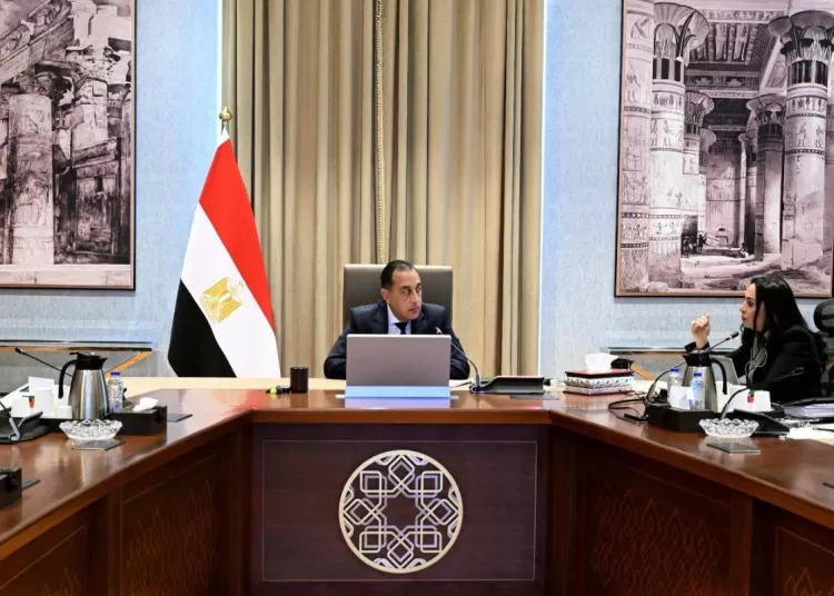 PM reviews governance of subsidy, social protection systems 10 - Egyptian Gazette