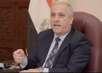 Nat’l press key to development, stability and countering misinformation – NPA’s El-Shorbagy