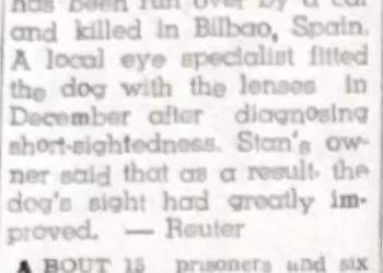 Dog wearing contact lenses dies