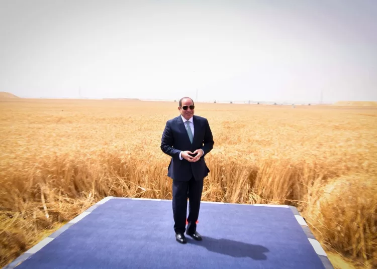 President Sisi inaugurates 'New Delta' mega project, amid major land reclamation drive (updated) 11 - Egyptian Gazette