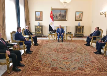 President Sisi urges deeper African development co-operation
