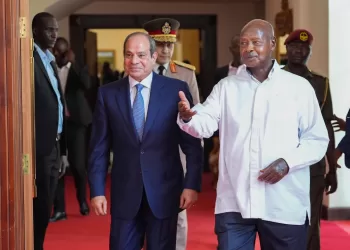Sisi