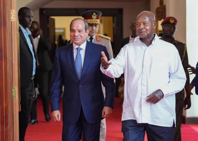 Sisi