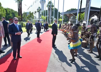 Egypt’s Africa push prioritises water security, regional influence