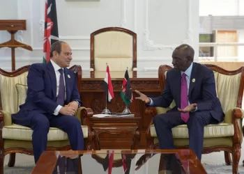 President Sisi meets his Kenyan counterpart in Nairobi