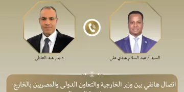FMs of Egypt, Somalia discuss strategic partnership