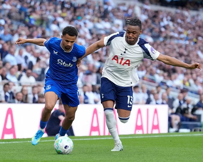 West Ham relegated, Spurs stay in EPL 15 - Egyptian Gazette