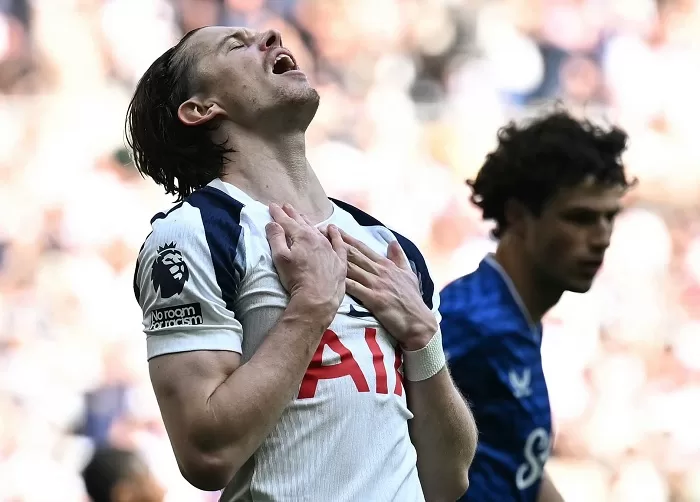 West Ham relegated, Spurs stay in EPL 13 - Egyptian Gazette
