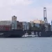 Egypt's seaports achieve record growth in container traffic, global rankings 4 - Egyptian Gazette Egypt’s seaports achieve record growth in container traffic, global rankings