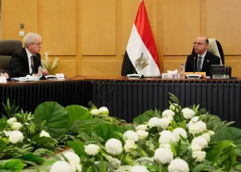 Egypt, US keen to advance economic partnership