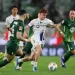 Wolfsburg slips closer to Bundesliga exit