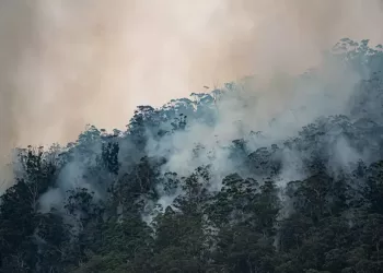 Climate change, global waming