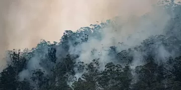 Climate change, global waming