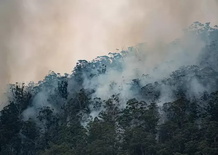 Climate change, global waming