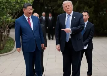 China: Xi, Trump held constructive AI talks