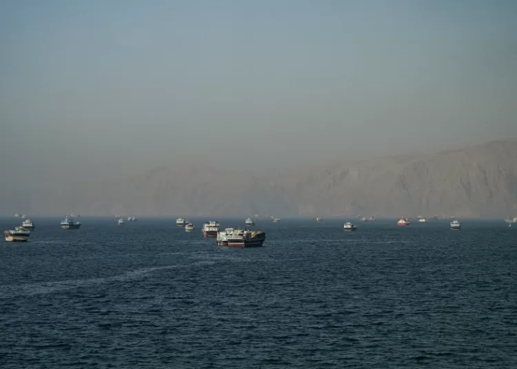 IMF, World Bank, IEA chiefs warn of summer fuel scarcity 12 - Egyptian Gazette
