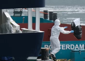 How S. African scientists identified hantavirus on cruise ship