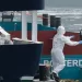 How S. African scientists identified hantavirus on cruise ship 2 - Egyptian Gazette How S. African scientists identified hantavirus on cruise ship
