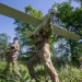 Ukraine, Russia, drones