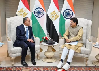 FM: Egypt eyes more Indian investments, trade exchange
