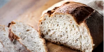 5,300-year-old Iceman’s gut yeast bakes surprise sourdough