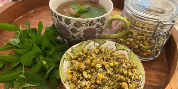A soothing cup of herbal tea can begin in your garden 1 - Egyptian Gazette A soothing cup of herbal tea can begin in your garden