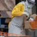 Ebola outbreak in Central Africa could reach 20,000 cases without strong public health measures 2 - Egyptian Gazette Ebola outbreak in Central Africa could reach 20,000 cases without strong public health measures
