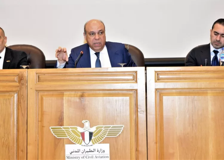 El-Hefny urges more efforts to stop bird hazards at airports 12 - Egyptian Gazette
