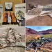 Border Guard Forces continue intensive efforts across strategic directions
