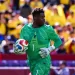 French backup Samba earns W. Cup place