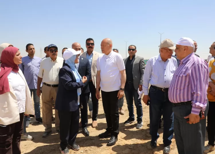 Cairo governor reviews final stages of state-of-the-art stray dog shelter in Tebbin 11 - Egyptian Gazette