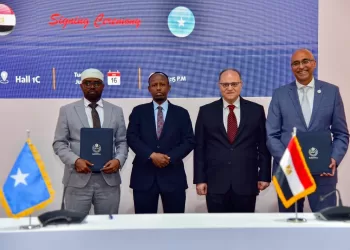 Egypt, Somalia sign MoU to strengthen pharmaceutical co-operation