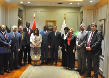 Egypt, DR Congo expand higher education links